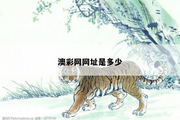 澳彩网网址是多少